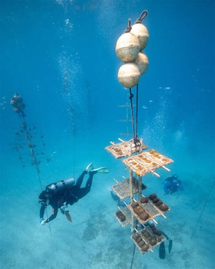 Dive Into A World Of Discovery
